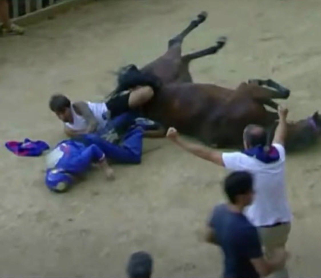 FabioZfz9's tweet photo. Ma comecazzo si fa oggigiorno a divertirsi nel vedere queste violenze nei confronti degli animali⁉️ palio di siena‼️ 👎 https://t.co/SnxUWs0FTD