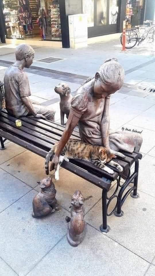 CuoreIschitano's tweet photo. Questa statua si trova a Marmaris in Turchia...
Il micio che cerca coccole la rende ancora più bella❤ https://t.co/ig2D31OWhy