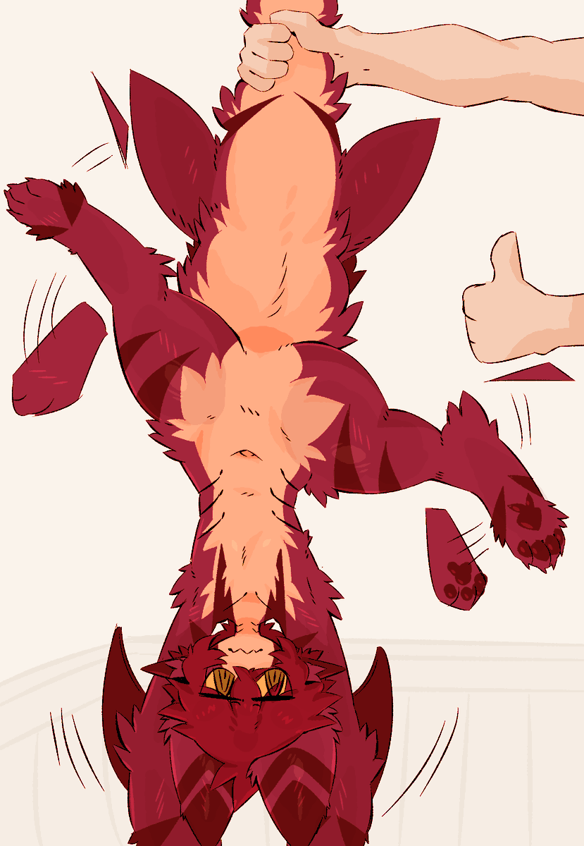 Gaogomon tweet picture