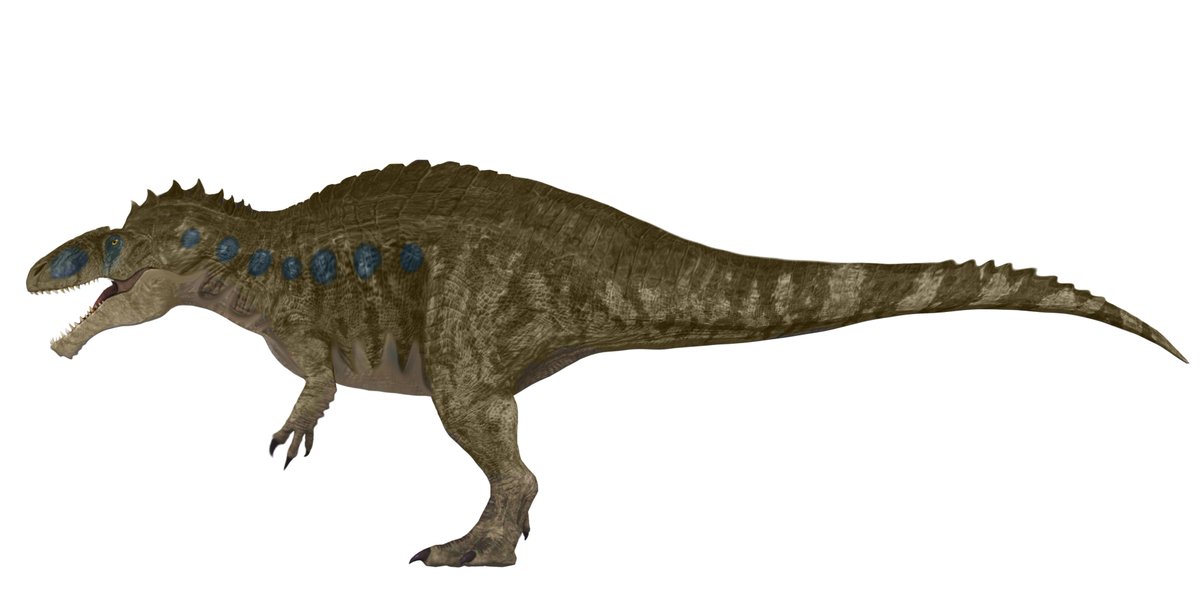 Springmorb's tweet photo. Back to dinosaur stuff! Here are some edits of Jurassic World Rebirth styled critters!

Triceratops, Achillobator, Acrocanthosaurus and Liopleurodon!

All made from JWE model renders https://t.co/OJGk27C4q8