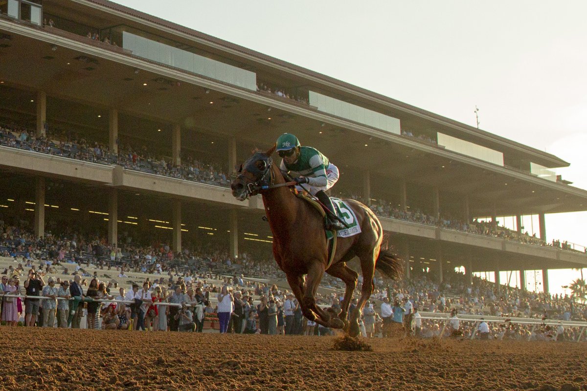 Equibase's tweet photo. #OnThisDay in racing history on August 18, 2018... ACCELERATE dominated the G1 Pacific Classic at @DelMarRacing by 12 1/2 lengths for trainer @johnwsadler with @JRosarioJockey aboard 🏇💨

Accelerate went on to win the G1 Awesome Again Stakes at Santa Anita and the G1 @BreedersCup Classic in his next two starts and was named the 2018 Eclipse Award Champion Older Dirt Male 🏆

The son of Lookin At Lucky retired to stud at @LanesEndFarms with 10 wins, 5 seconds, 6 thirds and $6,692,480 in lifetime earnings.

He stood at Lanes End through 2023 and now resides at the Hall of Champions at the @KyHorsePark.

Check out his horse profile on Equibase for all career statistics and achievements:
 https://t.co/lpgg44vX6f

📸Eclipse Sportswire