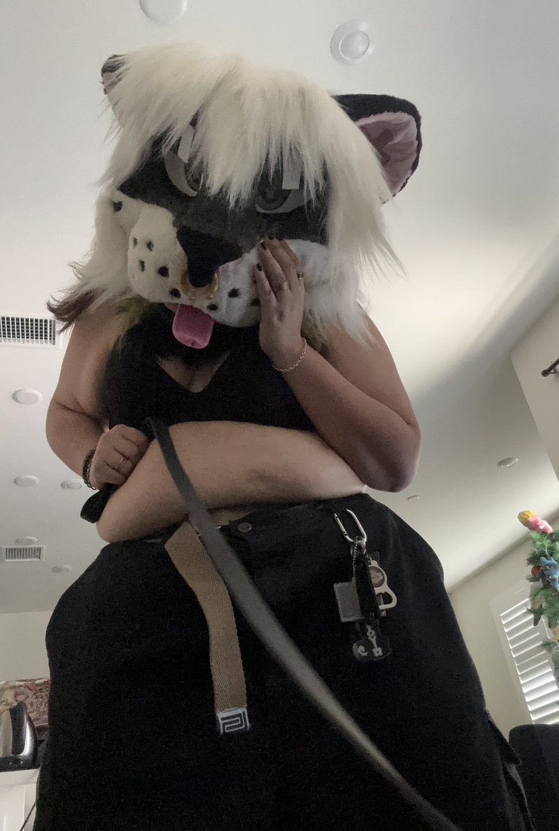 spacey_universe's tweet photo. “awww , look at how cute you look down there !”

#TummyTuesday old pics with a leash ;3 https://t.co/WsN4g6LcJj