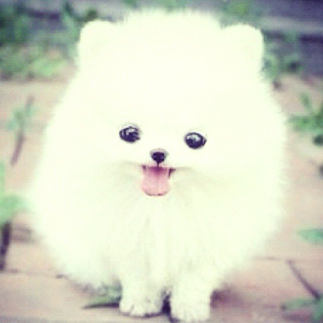 nilouakgae's tweet photo. hi i want friends https://t.co/wocaNARdl3