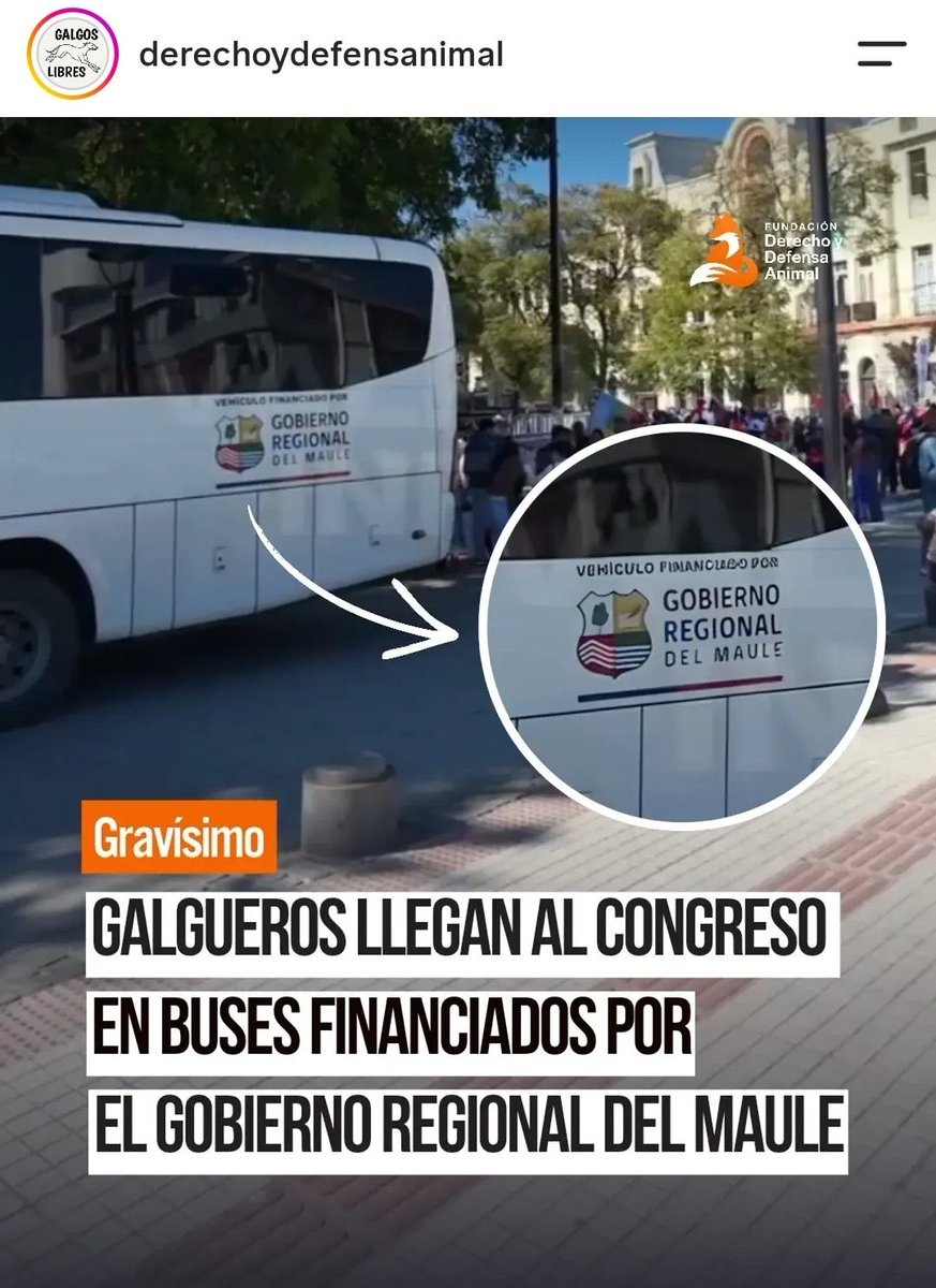 mamalechuza's tweet photo. Oigan @Contraloriacl porque @GOREMaule Pedro Álvarez Salamanca utiliza recursos para trasladar a estas mafias? #GalgosLibres https://t.co/KL3wQJLmNn