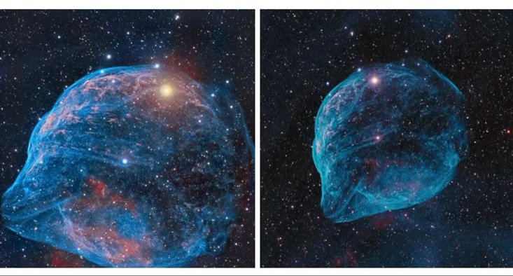 Astronomy_1002's tweet photo. 🌌 SH2-308 —Dolphin Head Nebula:
A vast bubble of glowing ionized gas about 5,000 light-years away, formed by powerful stellar winds from a massive Wolf  Rayet star. Its blue glow and dolphin like shape make it a striking cosmic structure. 🐬✨ https://t.co/fwgN6gUvIQ