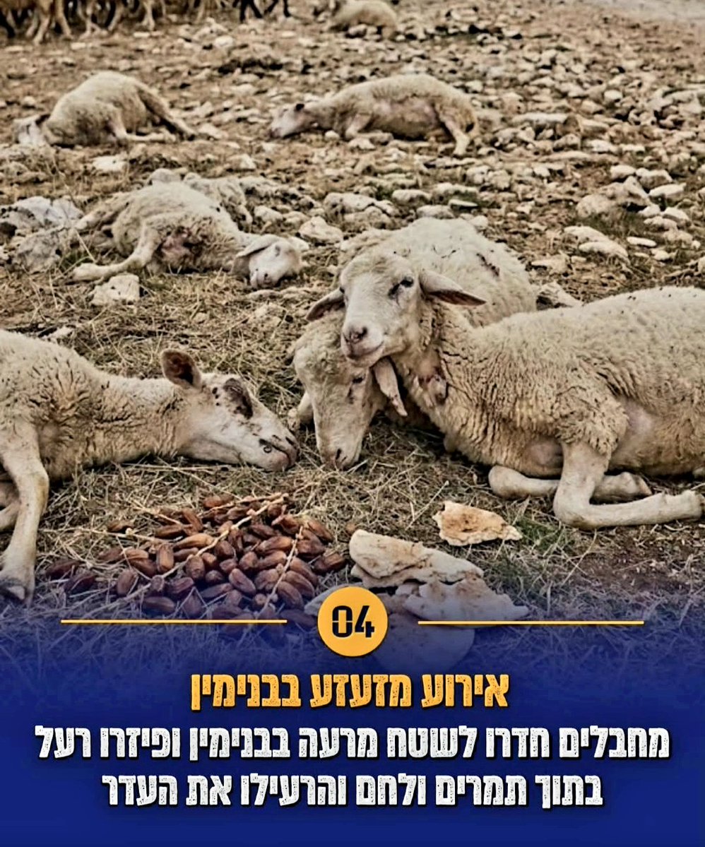 MagiMag17109481's tweet photo. מזעזע אין לי מילים 💔💔💔 https://t.co/APAZiSQlF4