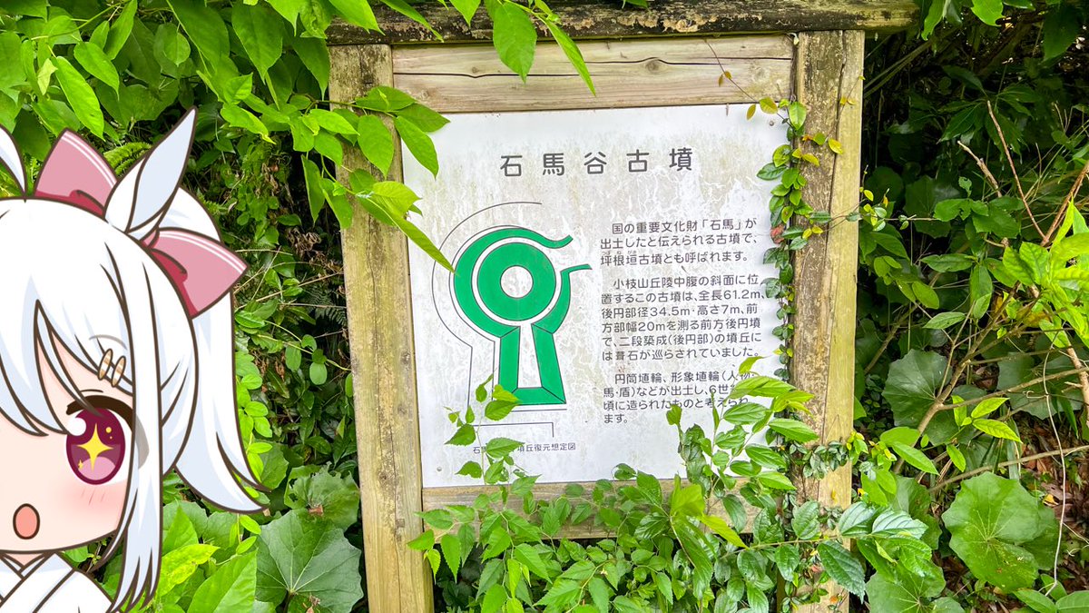 otane_ch's tweet photo. おはようございまっす🌻

#米子市 の #石馬谷古墳 は、本州で唯一の #石馬 が出土したとされる全長61.5mの前方後円墳なんですっ🐴

石馬は国重要文化財に指定され、今は #天神垣神社 に安置されているので、興味のある方は見学してみて下さいねっ🍀

#鳥取県
#ご当地Vtuber
https://t.co/v40heY4Rmi https://t.co/ATCvsW8bHs