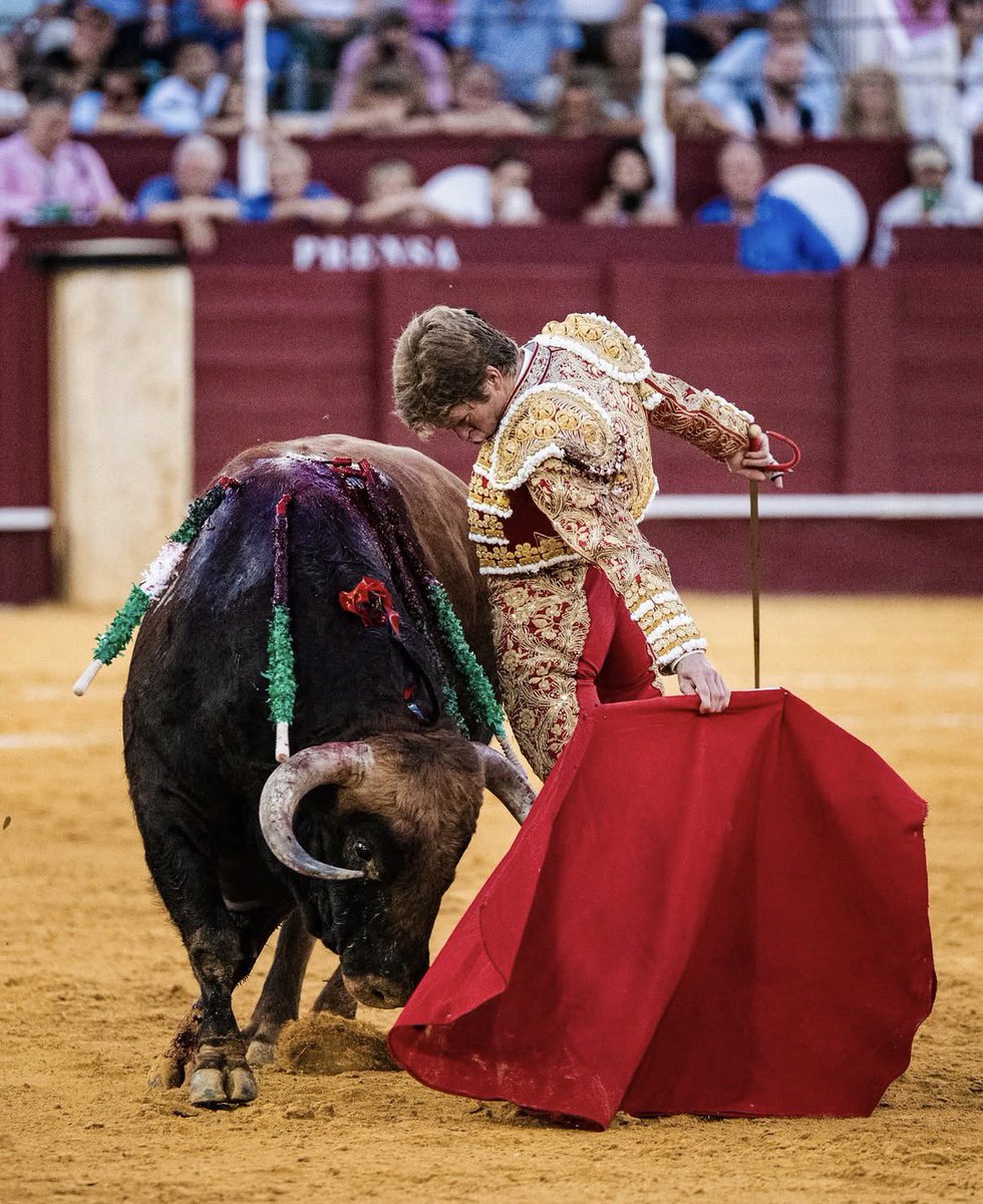 lologomeez's tweet photo. Pipo, ¿y que me dices de donde coge este el palillo? 

Qué pedazo de torero es Borja Jiménez…

@rafaelelpipo https://t.co/DMXrdd3YCx