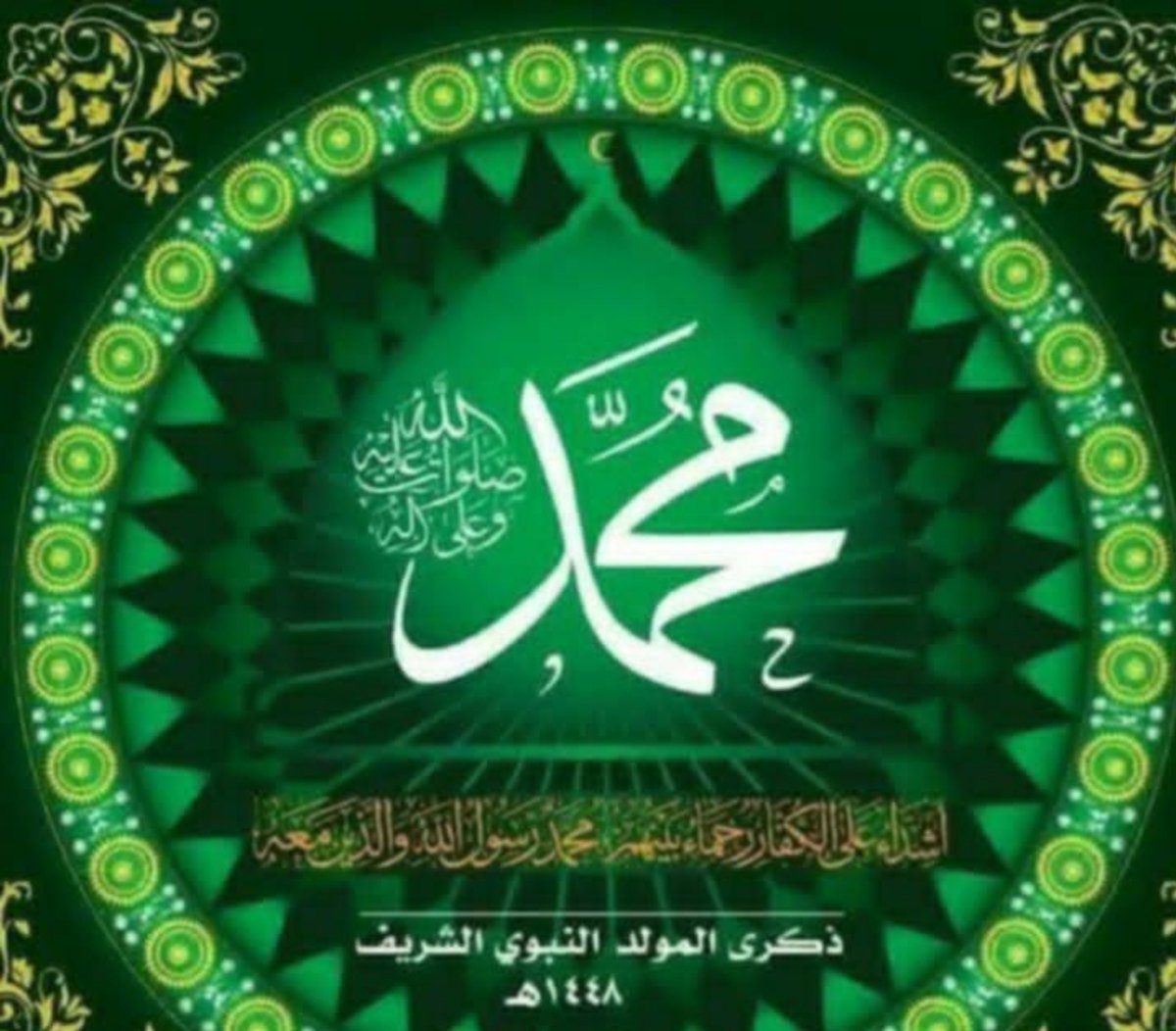 Aml_ali_'s tweet photo. لبيك يارسول الله🌹 https://t.co/x3t2Hdn2qQ