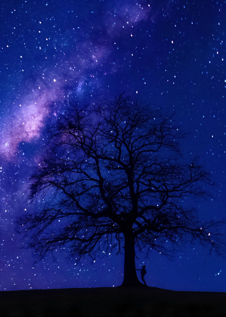 petalesblancs's tweet photo. night time https://t.co/4TE2DZWQkK