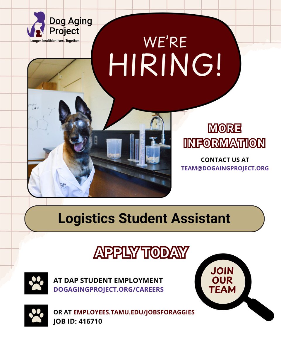 DogAgingProject's tweet photo. Want a behind-the-scenes role in one of the largest canine health studies ever?

Our DAP Logistics Team at Texas A&amp;M is seeking a Logistics Student Assistant to support our team at our #TAMU laboratory.

🐾Apply today: https://t.co/XECrsYF7mK https://t.co/AXByY4bHnu