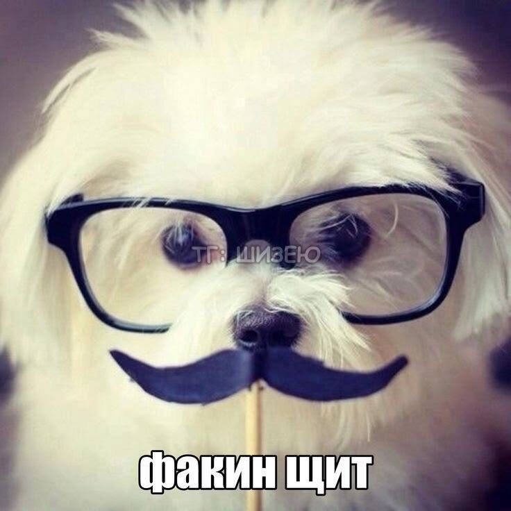 nyukushkkh's tweet photo. йомао, шк через 13 дней, што за жопень, поч так быстра прошло(( https://t.co/Tjv2EwQzWK