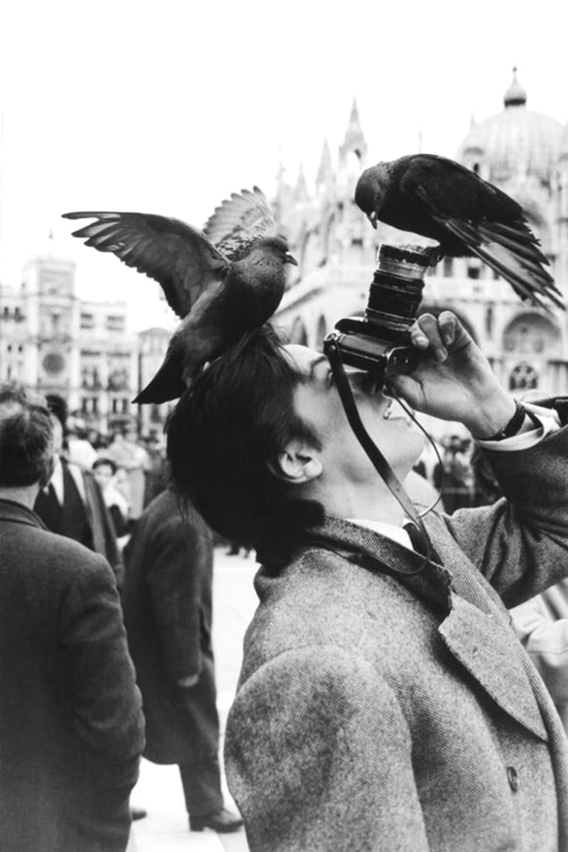 tadvingarr's tweet photo. In loving memory of Alain Delon🖤💫 https://t.co/tLe5vCYiTp
