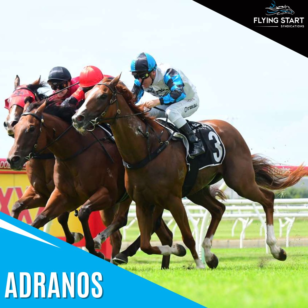 Ourhorsesfly's tweet photo. ✌️ We're racing in 2 states today

🥈 Consistent filly RESOLUTELY (Anna) bids to get on the board @melbracingclub after just being nabbed late (Race 3)
🔵⚪⚫ ADRANOS (Vince) also aims to end a run of minor placings with a 1st win this prep @ipswichturfclub (Race 5)

Good luck 🤝 https://t.co/HX9ibl9ilX