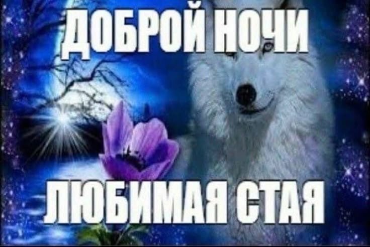 vinzzzi03's tweet photo. https://t.co/lPHu1UtHhe