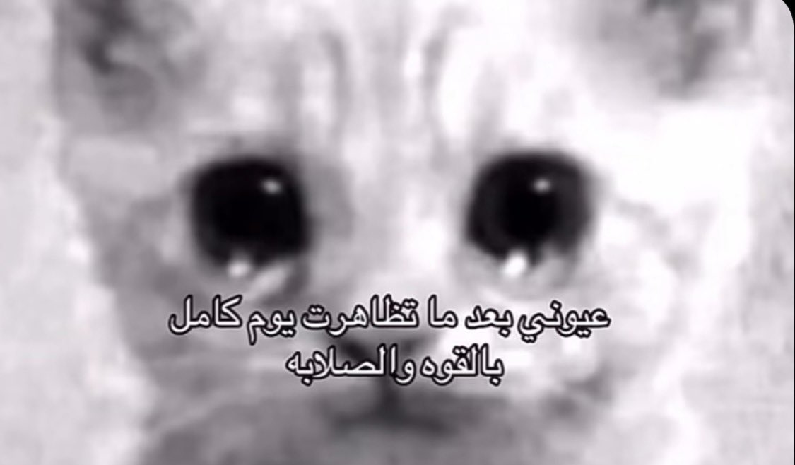 PP44K's tweet photo. ١٢:٥٠ https://t.co/AePuLlzAO1
