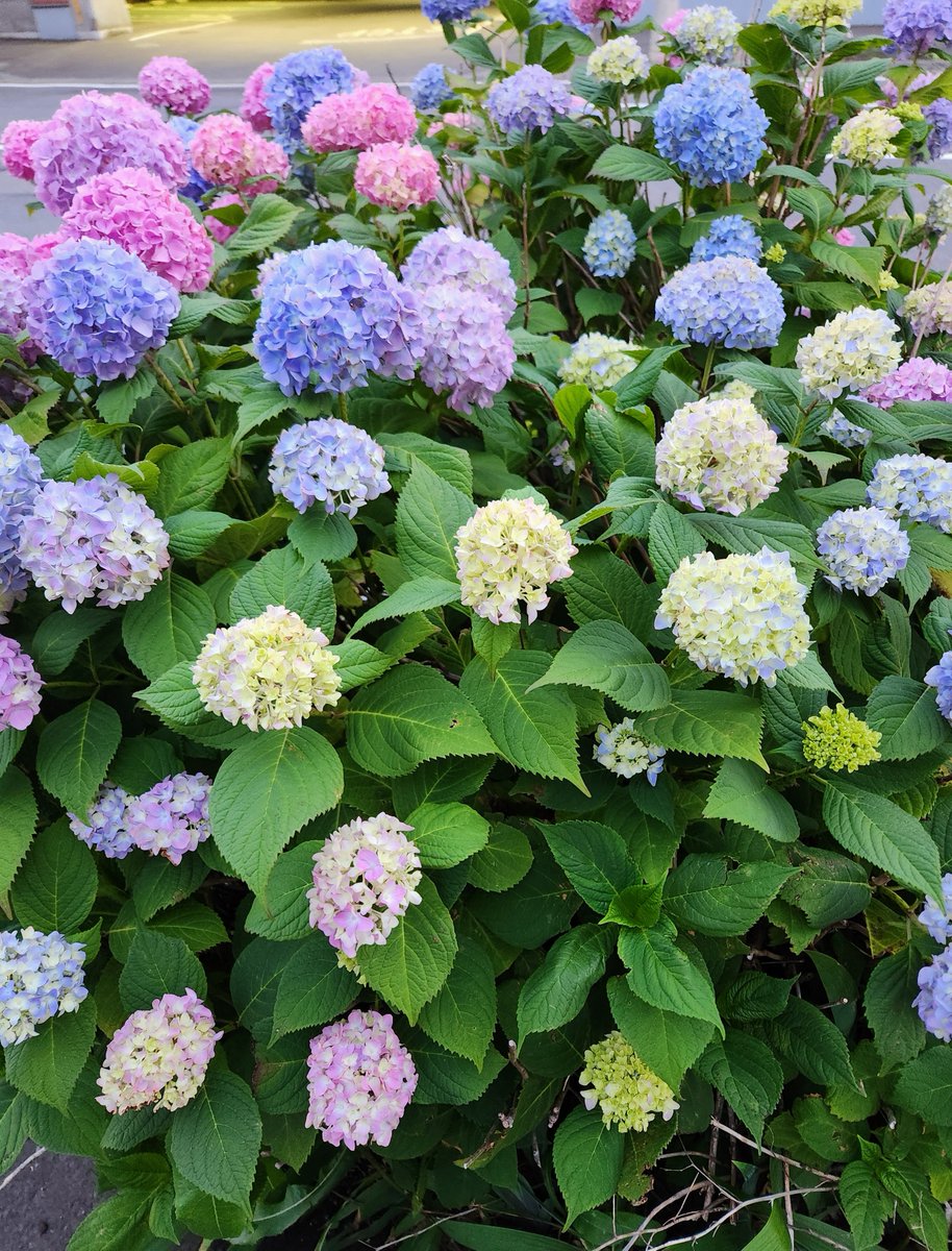 jyozefu2's tweet photo. https://t.co/6jI1VLaggF