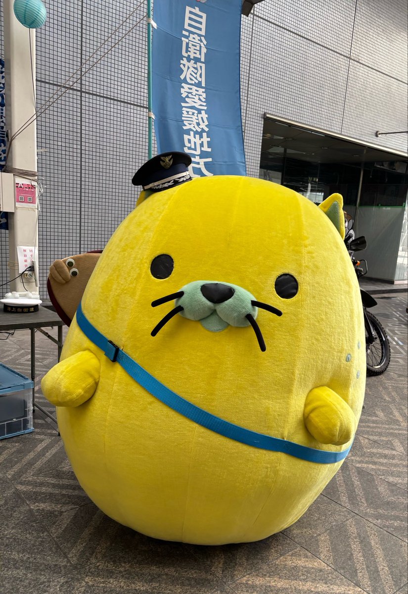onomichi_nyamon's tweet photo. おはにゃモ〜♪

暑さがもどってきたにゃモね
_(:3」∠)_びろーん

水分補給しっかりしてにゃモ〜♪
´ω`)ﾉ🍹

きょおもゆるっとがんばにゃモ〜♪
‹‹\(´ω` )/››ﾌﾚｯﾌﾚ🎶
#にゃモン https://t.co/jwoUoHFv4T