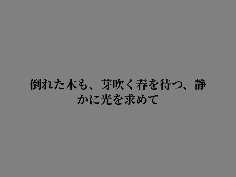 ashley1080's tweet photo. 静かな朝の風が心地よい https://t.co/Za45HsoYwK