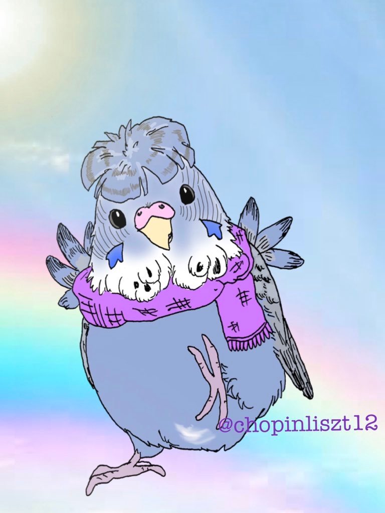 santinociao's tweet photo. 2019年春、慕っていた飼主から虐待を受けて命を落とした幼いインコたちの悲劇が２度と起きないよう毎月「白いインコの日」の投稿を続けて注意を喚起しています。犯人に判決が下りた2019/10/18日が由来です
小鳥販売店および里親譲渡される方、引取り先が危険でないか身元確認をお願いします。#拡散希望 https://t.co/I5EdrbjKJO