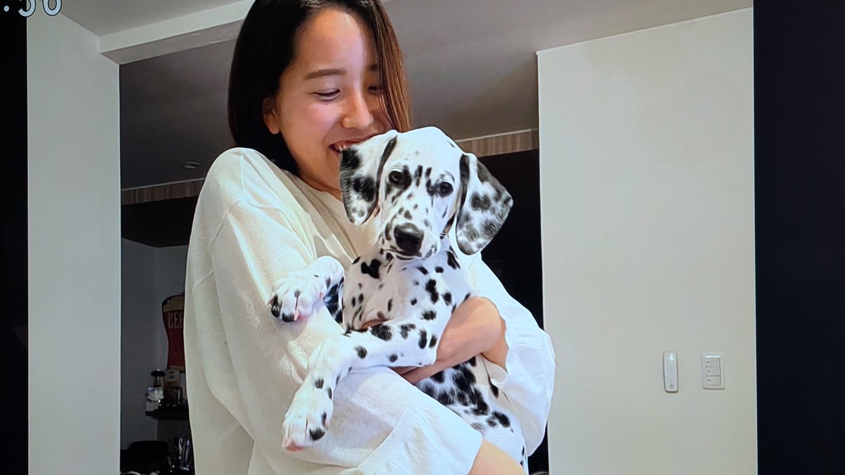 e0655 久しぶりの🐕 ͗ ͗ わが輩は犬 ダルメシアンのびあさん 妹ちゃん