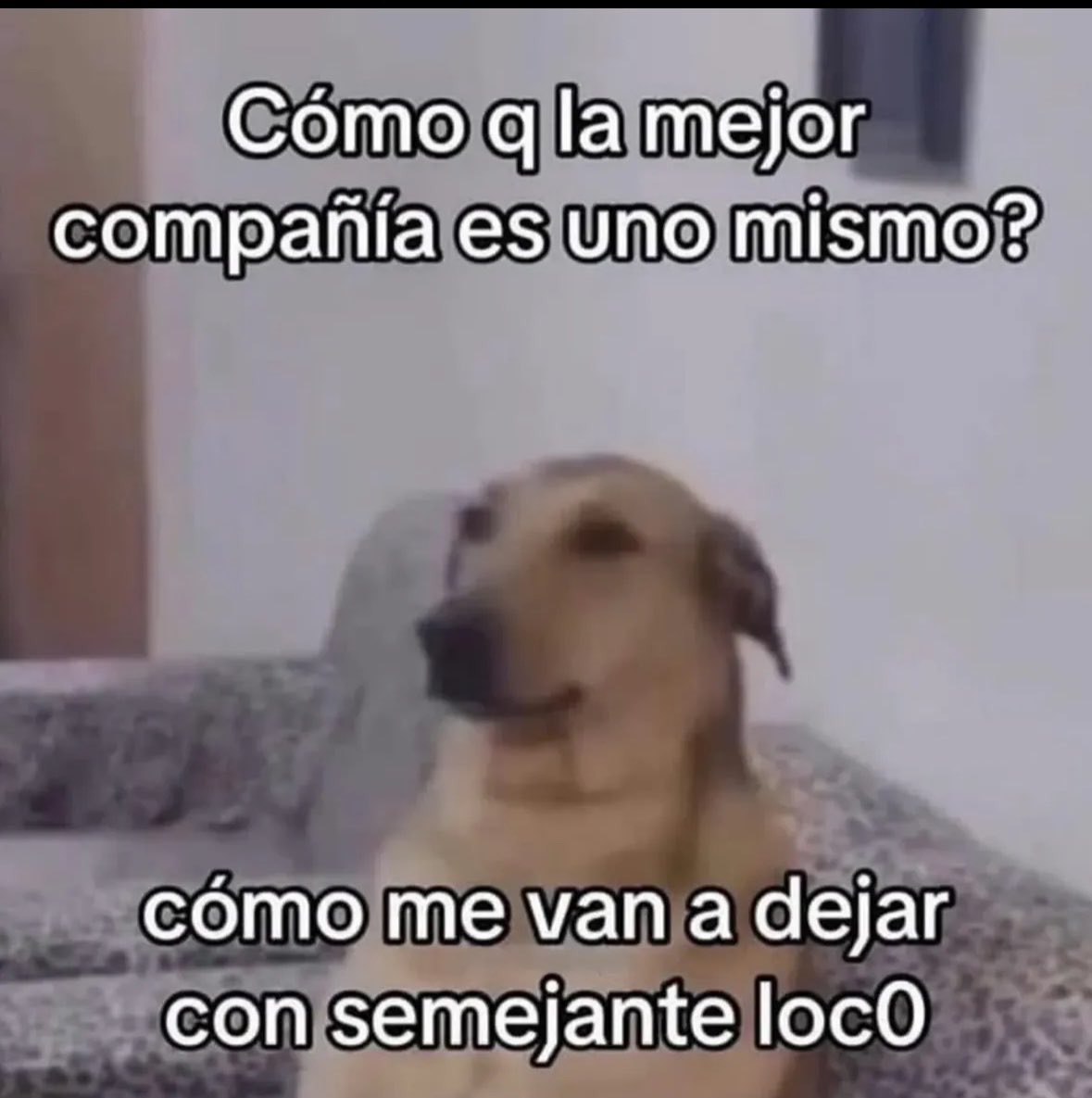 itextosoff's tweet photo. https://t.co/dCWmXvKzIs