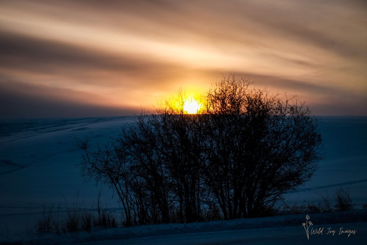 ReynaFearwjv2's tweet photo. sometimes it feels like my brain is just a messy sketch i forgot to finish. is it fixable? https://t.co/M381zRogLq