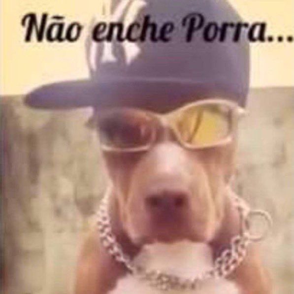 elovprm's tweet photo. eu depois do Castiel falar “você veio se candidatar pra ser minha namorada?” pela bucentésima vez toda vez q eu parava no corredor https://t.co/O38TXHJ8vH