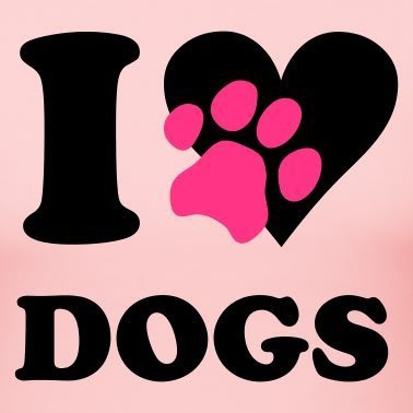 StephaneiDave's tweet photo. Proud dog mom ♥️
https://t.co/fCryYf1frp https://t.co/q7BbpbkJec