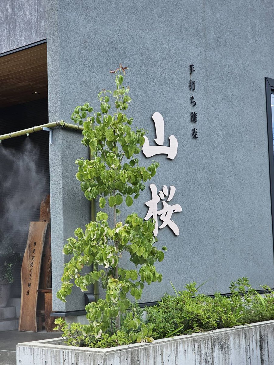 kooktootfoof's tweet photo. 2026年8月14日
手打ち蕎麦　山桜さんでランチです。
蕎麦の風味が最高だね。😚
すだちも楽しみました。

#小松
#粟津
#石川県
#イマソラ
#天ぷら https://t.co/aONNg3gjNE