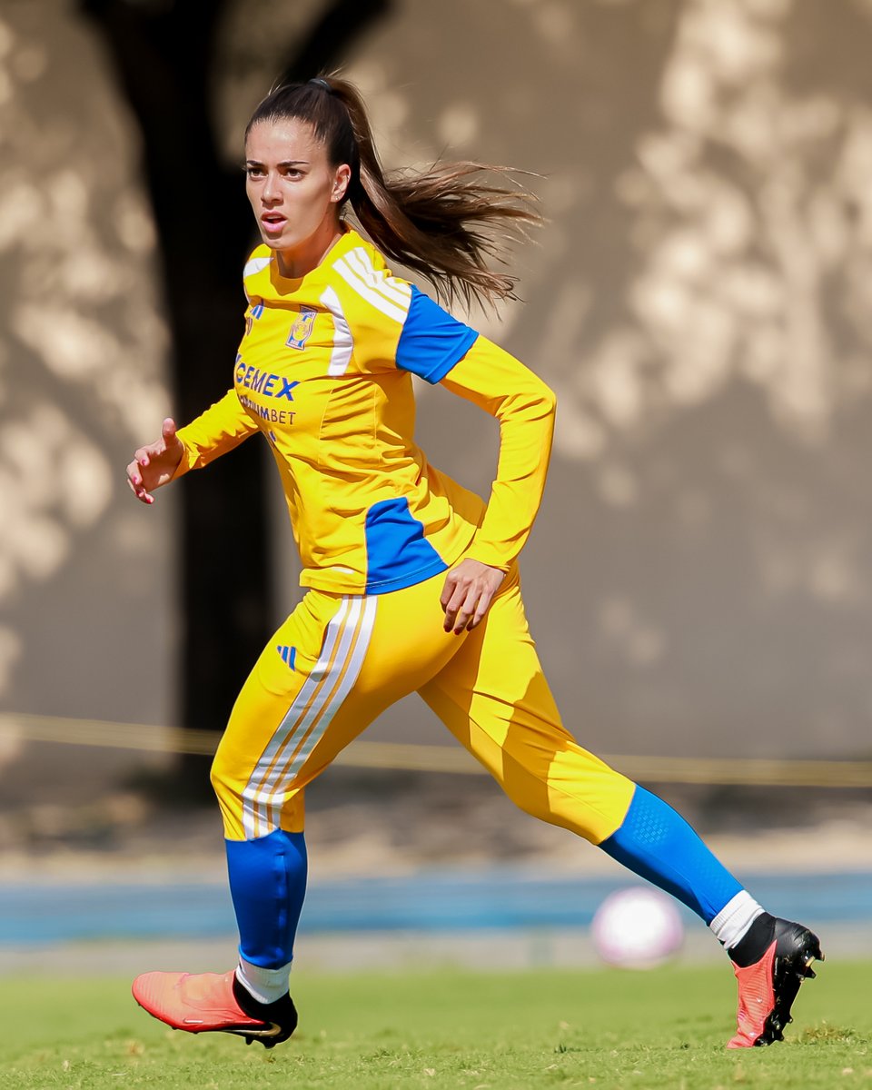 TigresFemenil tweet picture