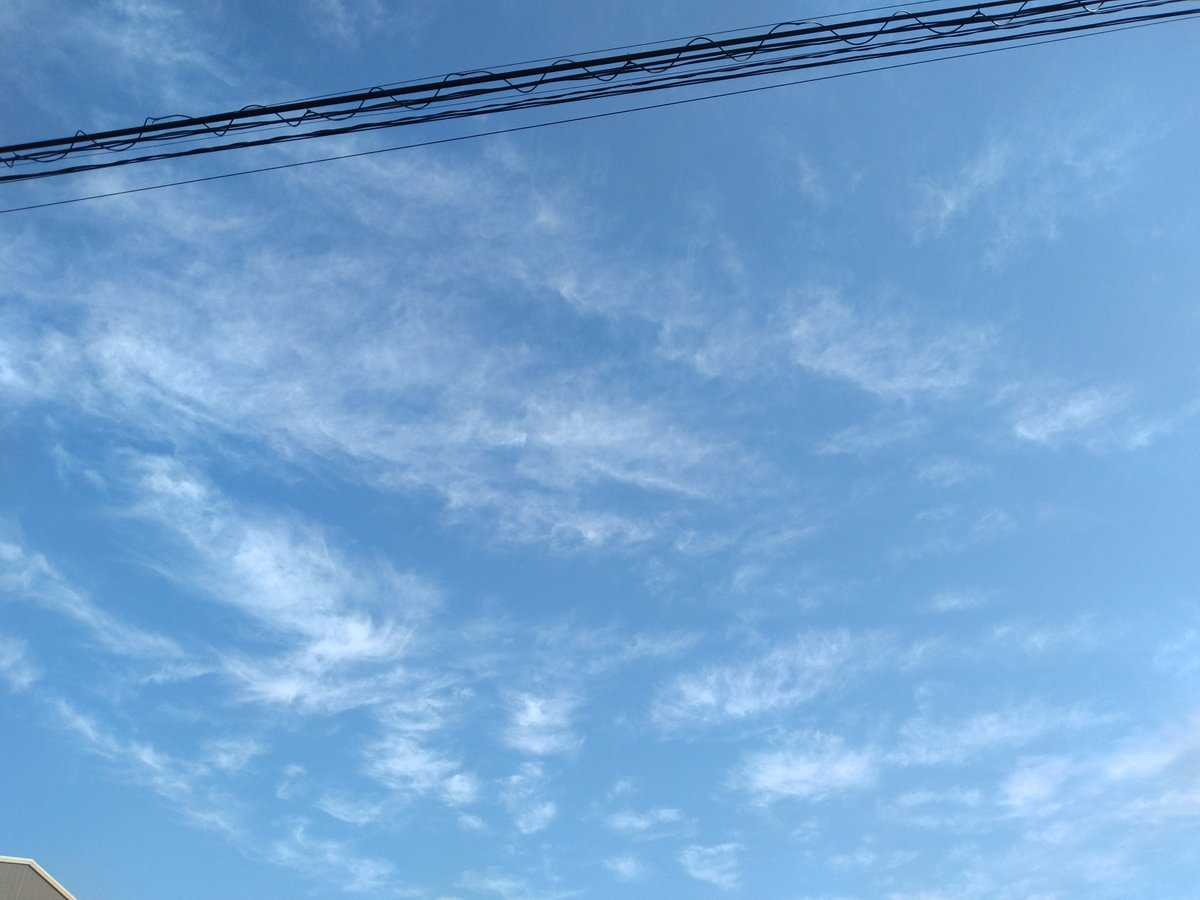 s_i_fb's tweet photo. おはようございます☀
午前中用事済ませたら午後は少し勉強しようかな🤔
#イマソラ
#空 https://t.co/KvNd3JHQyI