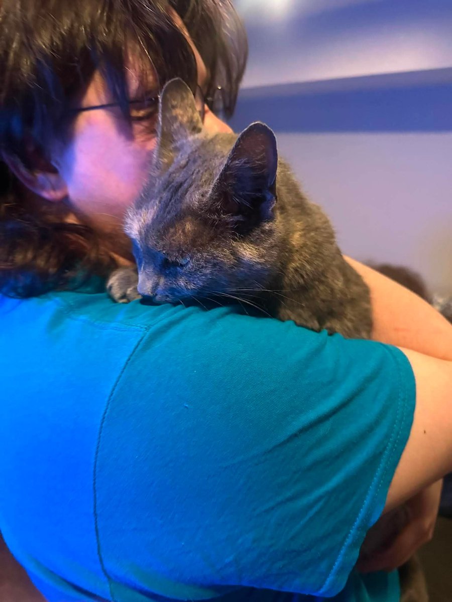 PercySilverwing's tweet photo. This my baby :3 https://t.co/GsKRx3BOzh