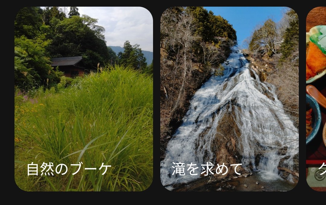 kijibato1's tweet photo. おはようございます。愛知県豊田市は今朝も夏空。昨日は飲み過ぎました。Google フォト、自然のブーケ。草刈リたくなってきた🔥 https://t.co/n2salfkgek