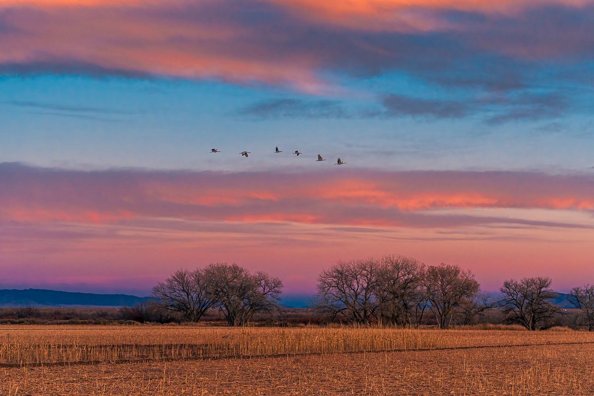 masbeyondo_adv's tweet photo. Blue hour flights. https://t.co/Jp0JyIr4l3