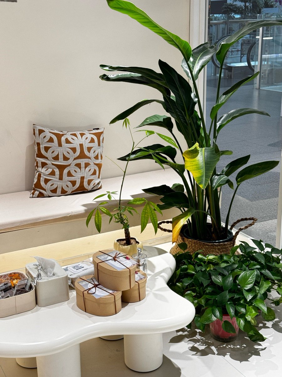 MarianneF56435's tweet photo. Deadline still 3hrs away, desk plants + iced latte hit different right now.  #WorkLifeBalance https://t.co/fKxcR8RJjk