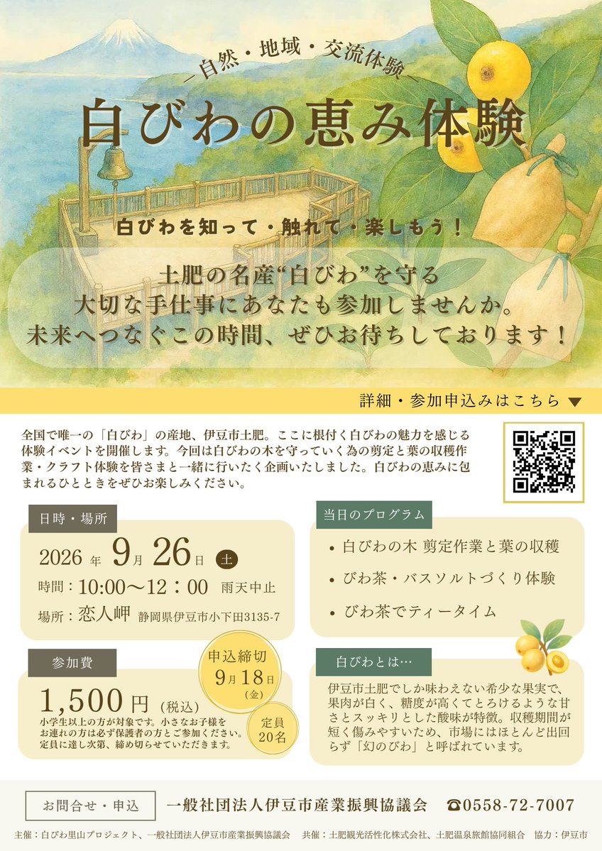 izushikankou's tweet photo. 全国で唯一の「白びわ」の産地・伊豆市土肥。 
白びわを未来へつなぐ体験イベントを9/26に開催します🌱 
剪定・葉の収穫・クラフトで白びわの恵みと自然を感じるひとときを楽しみませんか？
皆様のご参加、お待ちしております！
https://t.co/q7MSYXTGT3 https://t.co/YAZ6Fm3e4g