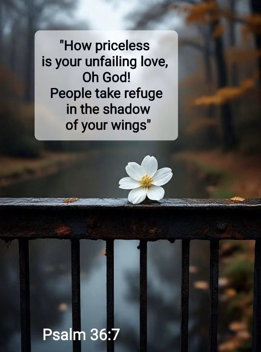 Jessxske's tweet photo. “How precious is your unfailing love, O God! All humanity finds shelter in the shadow of your wings.”
Psalms 36:7 NLT 🪽 https://t.co/XuuVGAFw4D
