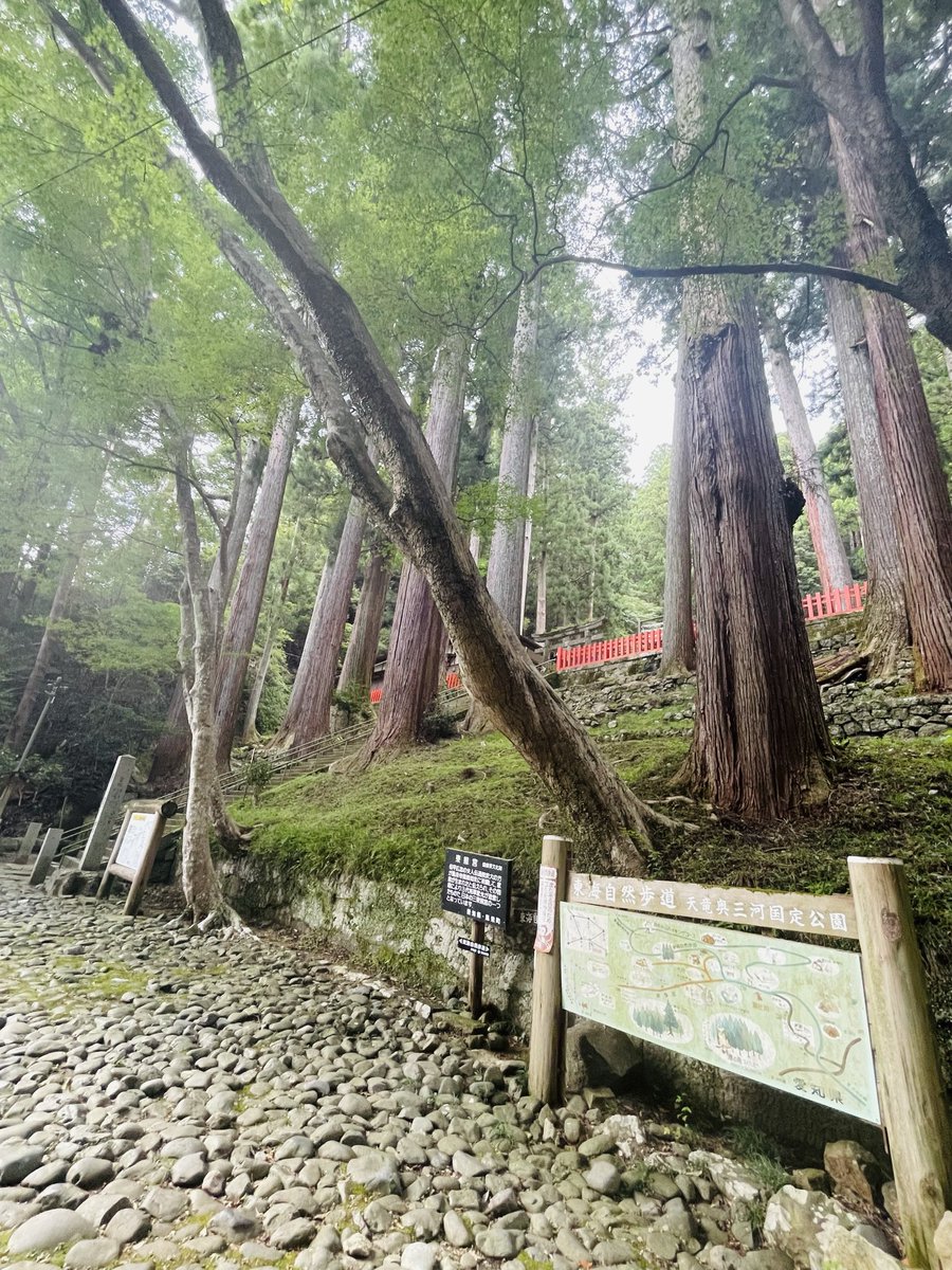 junko_aichi3's tweet photo. 国重要文化財である
鳳来山東照宮に行ってきました。
日光東照宮には行った事ありますが、
愛知にもあると初めて知り、
調べてみると
日本三大東照宮の一つ！とも言われてますが　諸説あり日光東照宮（栃木県日光市）と久能山東照宮（静岡県静岡市）の2社は確実に入りますが、残り1社は明確に定まっておらず、鳳来山東照宮（愛知県新城市）や滝山東照宮（愛知県岡崎市）、上野東照宮（東京都台東区）などが候補として挙げられているそうです。
￼
 日光東照宮は徳川家康を祀る全国の東照宮の総本社的存在。世界遺産にも登録され、豪華絢爛な陽明門や「見ざる・言ざる・聞かざる」の三猿で有名です。
久能山東照宮は家康の遺骸が最初に埋葬された由緒ある場所

そして、鳳来山東照宮は家康の母・於大の方ゆかりの地に徳川家光の命で創建されました。
1400段以上の階段を登ってくるコースと駐車場から10分で行けるコースがありますが、今回は時間が無いので
短縮コースにしました。が、
秋など
陽気が良い時に1400段コース挑戦したいなと思います。
#鳳来山
#鳳来山東照宮
#杉本じゅんこ