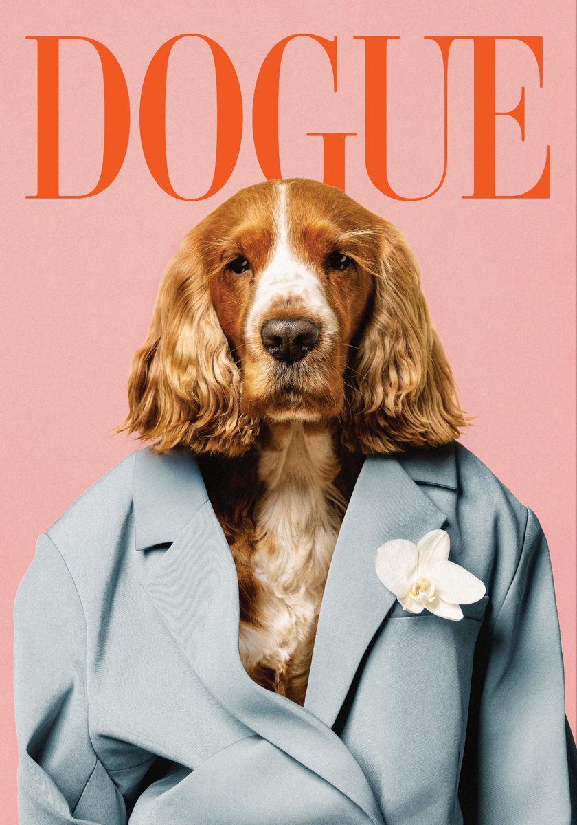 doguepf's tweet photo. Dogue is always in season https://t.co/lwp7P5M1SB