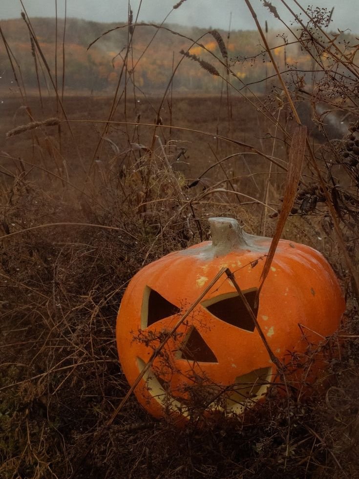 JasSpookyLover's tweet photo. https://t.co/oXTi5KDytk