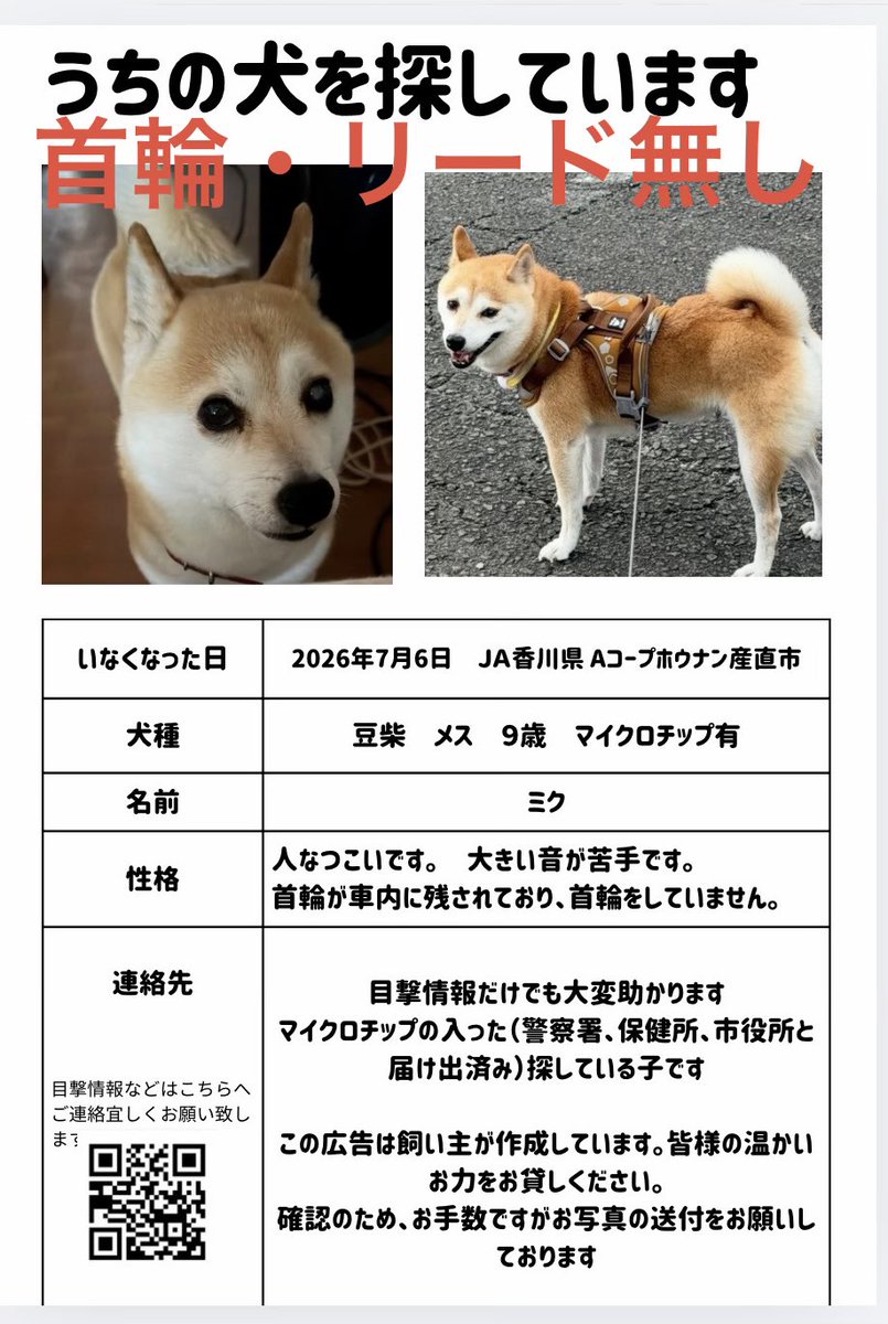 wu4gqfmiku's tweet photo. 【拡散希望】
香川県観音寺市大野原町で7月6日に行方不明になった豆柴「ミク」（メス・9歳）を探しています

首輪・リードなし
体重6.5kg
マイクロチップ有(警察・保健所届出済み)
どんなに些細な情報でも構いません
宜しくお願い致します
#迷子犬 #香川県 #観音寺市 #大野原町 #豆柴 #柴犬 #拡散希望 https://t.co/wvBh3M2bo2