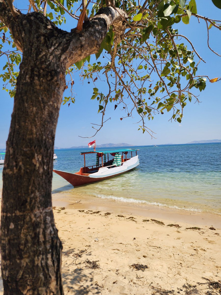 nap65406's tweet photo. Sea🏖 Sand 🏜Sun☀

#seasandsun 
#indonesia 
#alwaysseayou https://t.co/qRwSF78k0X