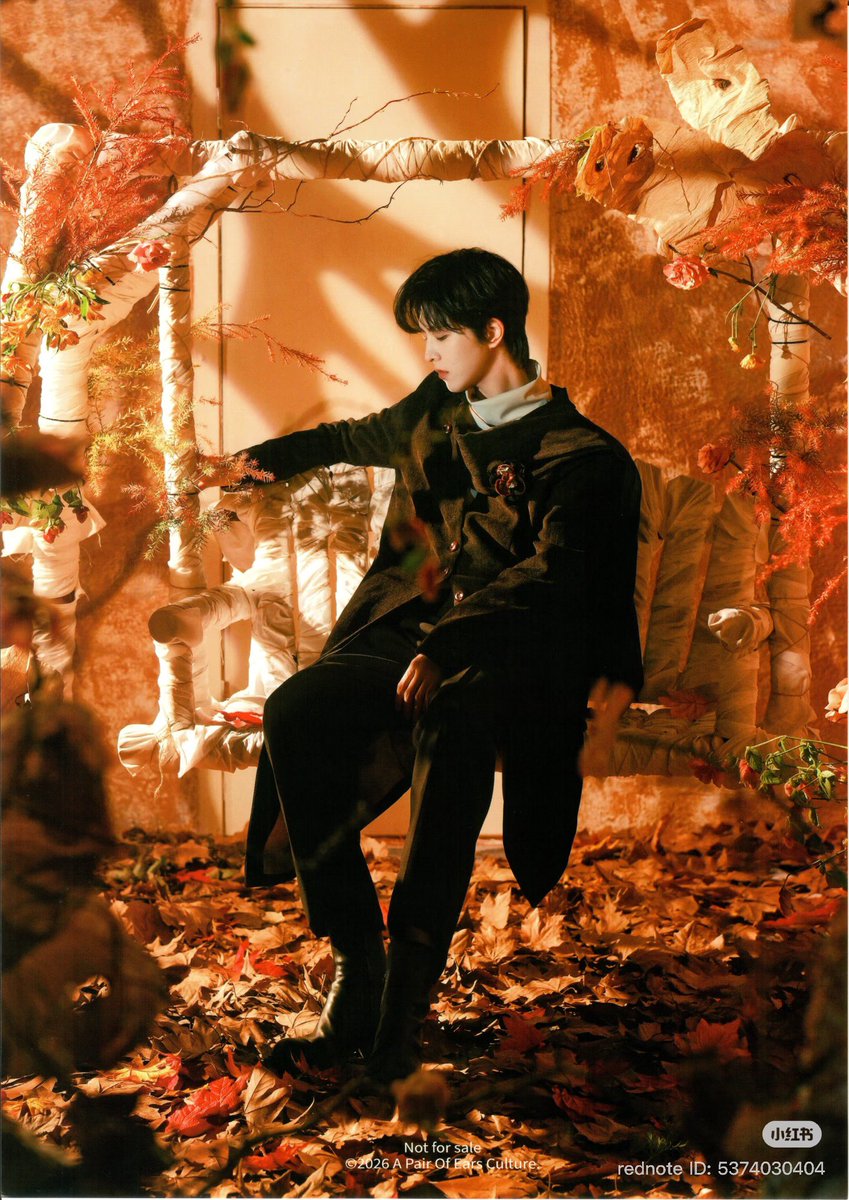 qiutyjie's tweet photo. my beloved autumn 🍁🍂 https://t.co/Q1M2xRJiDp