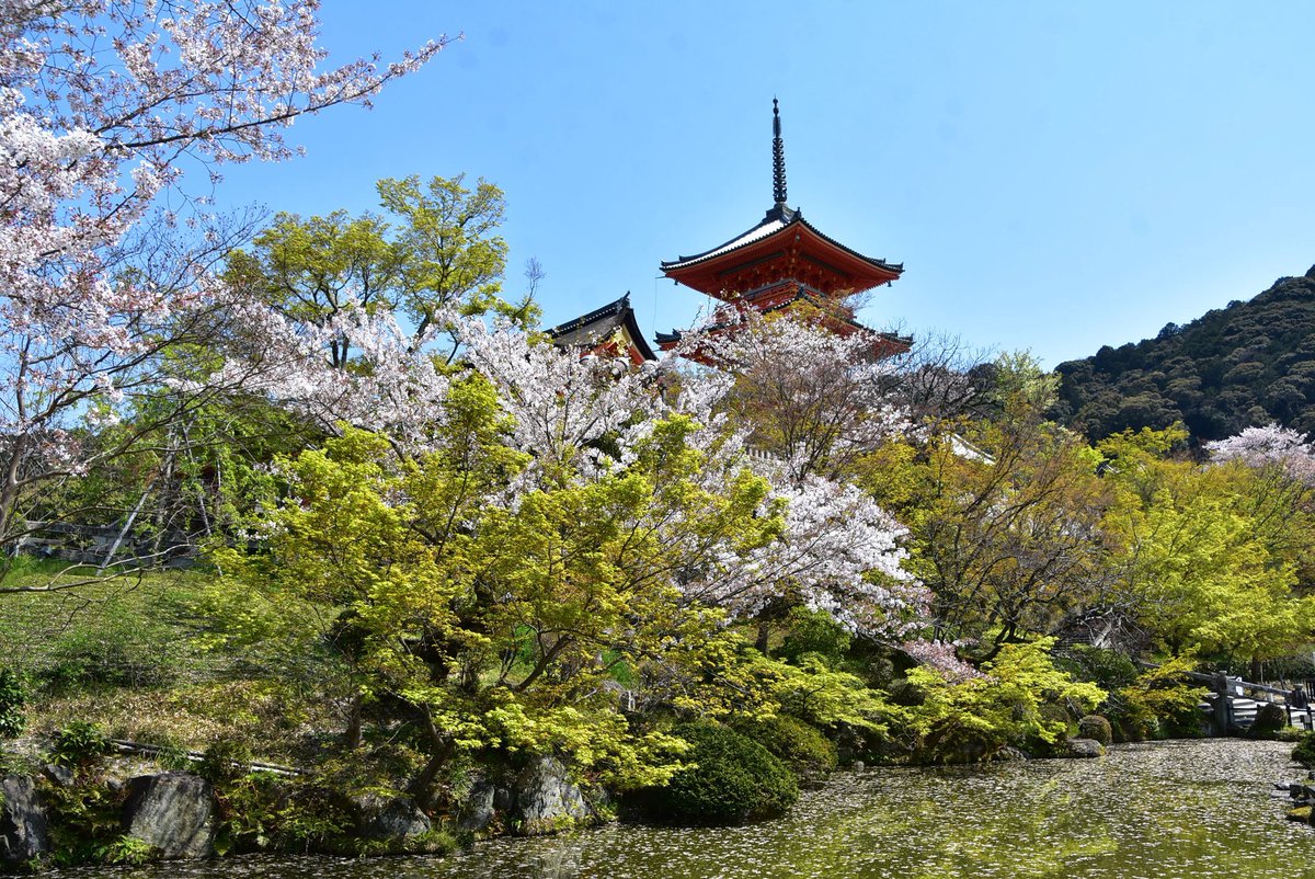 herewe5's tweet photo. 桜の季節なのにガラガラの比叡山延暦寺〜清水寺。八坂神社近くのジャグジーも付いてる部屋なのに1泊数千円。いい時代だった。 https://t.co/5K4ZM1r6oy