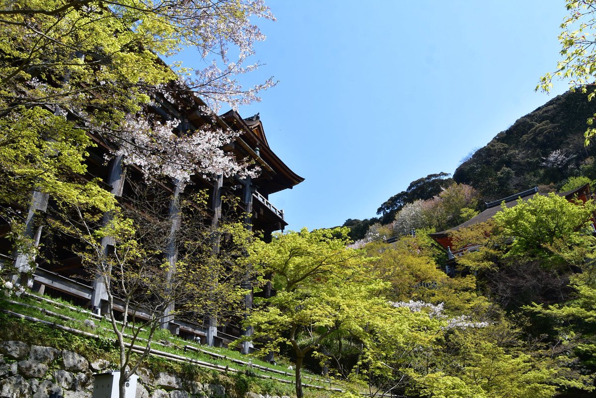 herewe5's tweet photo. 桜の季節なのにガラガラの比叡山延暦寺〜清水寺。八坂神社近くのジャグジーも付いてる部屋なのに1泊数千円。いい時代だった。 https://t.co/5K4ZM1r6oy