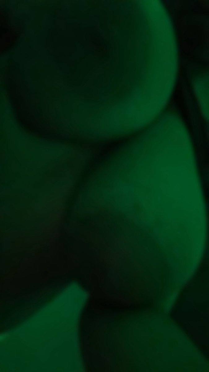 bigtitsoftie's tweet photo. who wants tit vids for a good price ?

starting at £15 a video 💕

#titvideo #boobs #bigboobs #sellingcontent https://t.co/nh7R8Jw5Ns