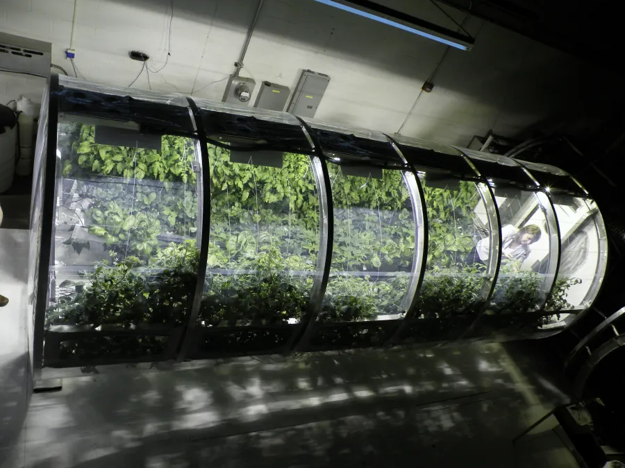 JSBSS40's tweet photo. 🌱 シンポジウム紹介①

「地球外環境での植物栽培の新たな技術開発とその利用」

月面でサツマイモは育つのか？
宇宙で肥料はどう作るのか？
日豪共同プロジェクトの研究者が集結し、未来の宇宙農業について議論します。

#JSBSS40 #SpaceAgriculture #宇宙農業
Photo source: By Bob Granath NASAKSC https://t.co/QfndRKsVwY