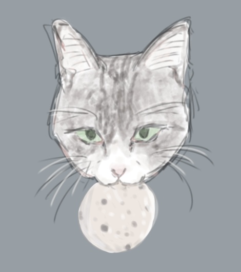 kurohato_1111's tweet photo. #新しいプロフィール画像
呪いません。猫が好きです。 https://t.co/Up3tzTgy4D