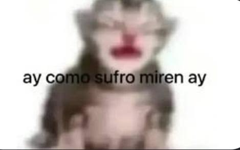 aletitouu's tweet photo. nadie quiere una comisión furry? quiero platita https://t.co/VxWsz3SnSN